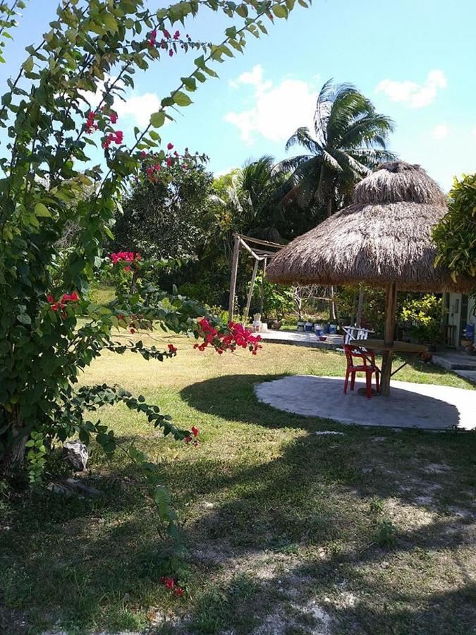 Hotel Templo Maya Xpujil Buitenkant foto
