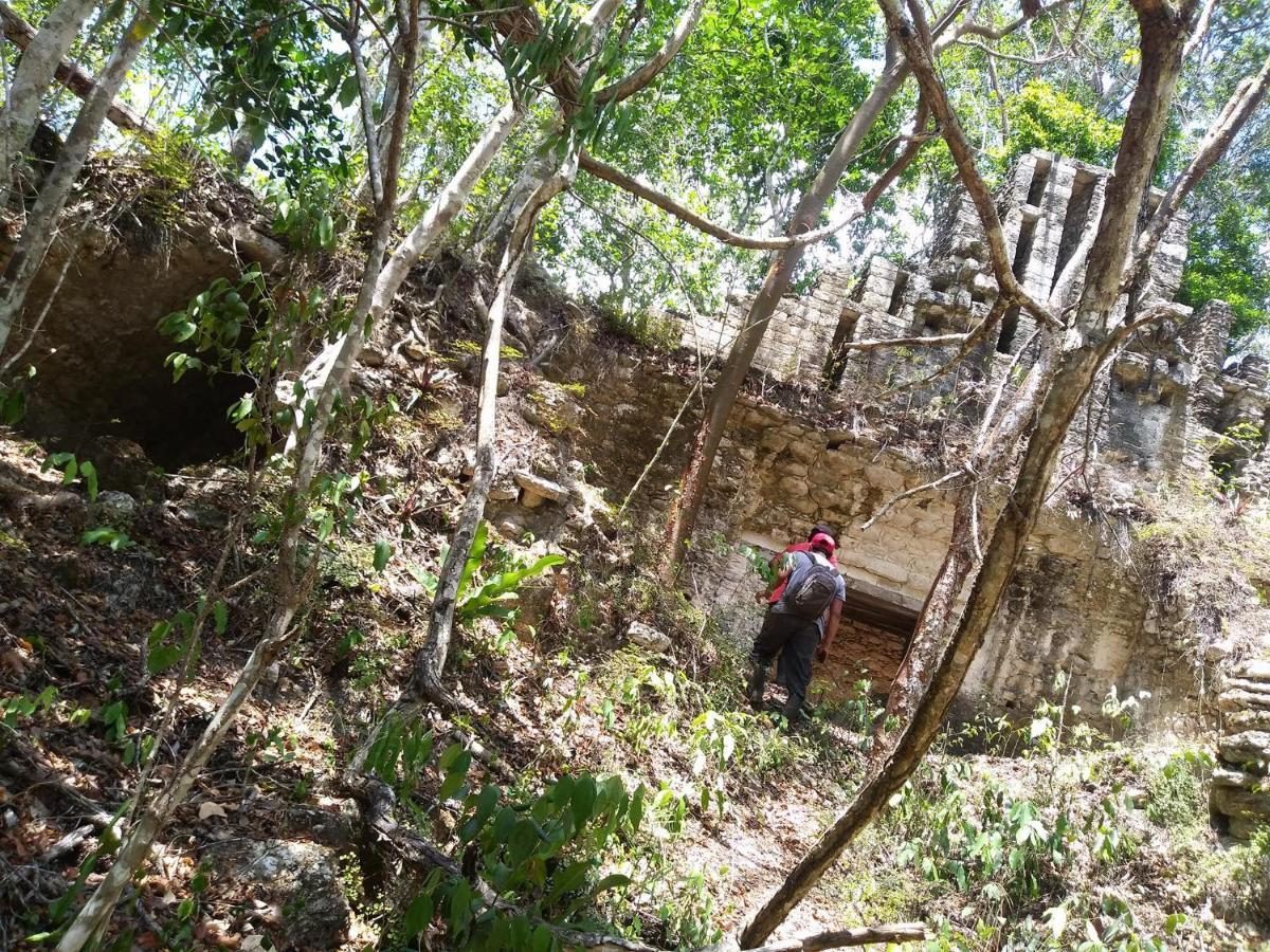 Hotel Templo Maya Xpujil Buitenkant foto
