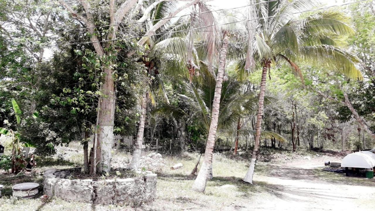 Hotel Templo Maya Xpujil Buitenkant foto